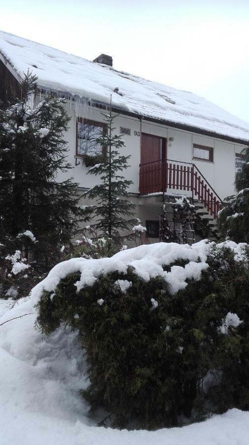 Ubytovani V Apartmanu Mladkov Exteriör bild